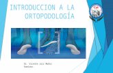 Introduccion a la ortopodología