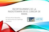 Incertidumbres de la Radioterapia en el cáncer de mama