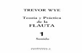 teoría y práctica de la flauta - vol. 1 sonido - flauta traversa - trevor wye