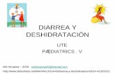 Diarrea y deshidratacion2016 resumen v2.0