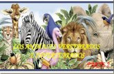 Animales vertebrados e invertebrados - Parte 2
