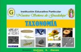 Introducción  a  la  taxonomía