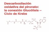 Descarboxilacion oxidativa