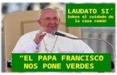 EL PAPA FRANCISCO NOS PONE VERDES. La encíclica Laudato Si´
