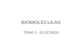 T 2-biomoléculas