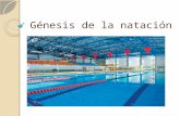 Génesis de la natación