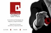 Presentacion cupacc 2016 dinamica