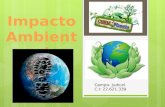 Presentación1 impacto ambiental judi