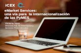 ICEX eMarket Services: una v­a para la internacionalizaci³n de las pymes