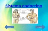 Glandulas endocrinas