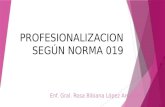 Profesionalizacion según norma 019 (1)