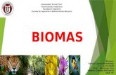 Biomas (ranalliFranchesco)