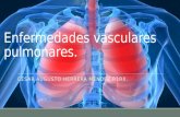 Enfermedades Vasculares Pulmonares