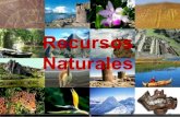 Ambiente recursos naturales