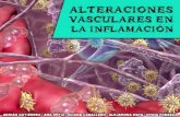 Alteraciones vasculares en la inflamacion
