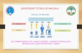 LOS COMPARTIMIENTOS DEL LIQUIDO CORPORAL: LIQUIDOS EXTRACELULAR E INTRACELULAR, LIQUIDO INTERSTICIAL Y EDEMA
