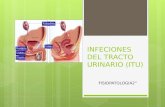 Infeciones del tracto urinario