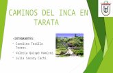 Caminos del-inca-en-tarata-1