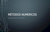 Exposicion de meodos numericos - UNIVERSIDAD DE LOS ANGELES COMALCALCO