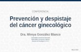 Prevención y despistaje del cáncer ginecológico. Dra. Mireya González