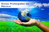 Áreas Protegidas en México