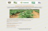 Proyecto seguridad alimentaria media y alta guajira (borrador)