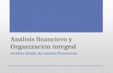 Análisis financiero y organización integral