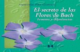 El secreto de las flores de bach