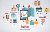 Portfolio de Productos y Servicios de SciDataArgentina SA