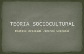 TEORIA SOCIOCULTURAL