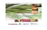 Plan “Prevención y Control de Deficiencias de Micronutrientes en ...