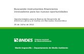 Taller Alide-Bid-Brou (Sesión4.b): Buscando instrumentos financieros innovadores para las nuevas oportunidades de sostenibilidad, Martin Ingouville, BNDES, Brasil