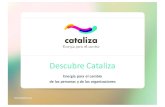 Presentación Resumen Cataliza 2016.Vs1