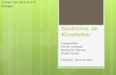 Síndrome de Klinefelter - Investigación escolar