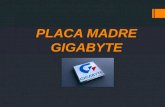 Placa madre gigabyte