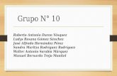 Grupo n° 10 webinar