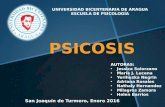 Presentación psicosis (psicoanalisis)