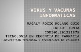 Virus y vacunas informaticas maga