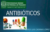 Classification of antibiotics