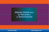 Alianza global para la vacunación y la inmunización.