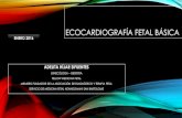 Ecocardiografía fetal mg 16x