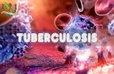 Historia natural de la enfermedad tuberculosis