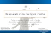 Inmunologia innata, respuesta inmunologica