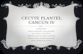 Cecyte plantel cancún iv Diapositiva