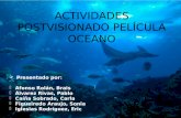 Actividades postvisionado película océano