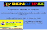IX ENCUENTRO NACIONAL RENAFIPSE PONENCIA PRODUCTOS FINANCIEROS PARA EL DESARROLLO LOCAL