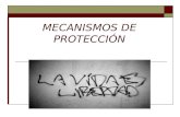 Tema 6. Láminas mecanismos de protección ddhh (modificado)