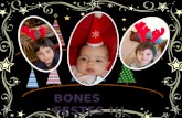 Bones Festes 2011 !!!