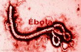 Ébola, aspectos preventivos