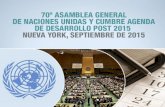 EC 440: Asamblea General de la ONU en Nueva York.